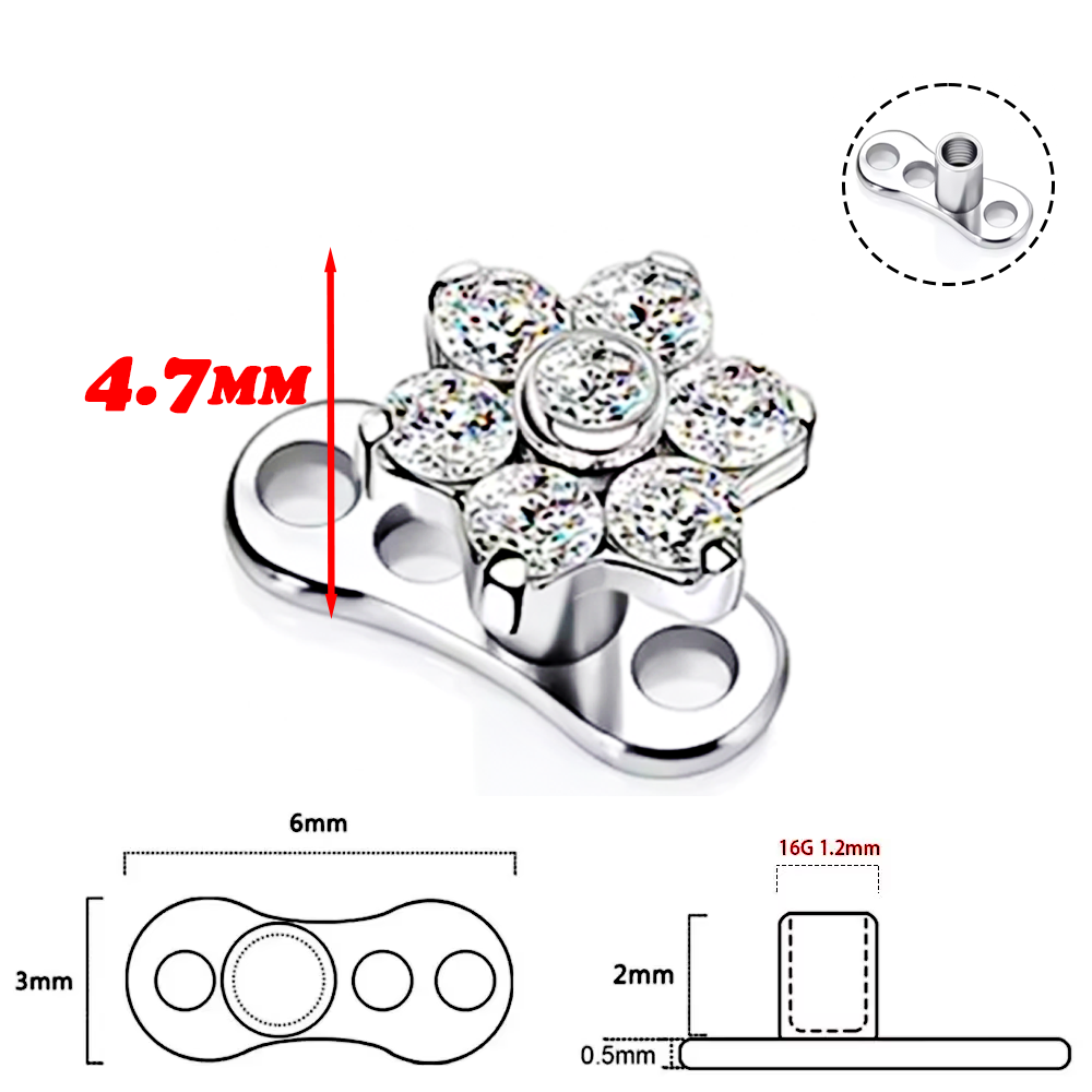 F136 Titanium Alloy High-Quali - огляд і ціна Body Jewelry Quality